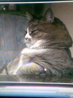 Алексей Корчмит