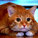 Дмитрий Котив