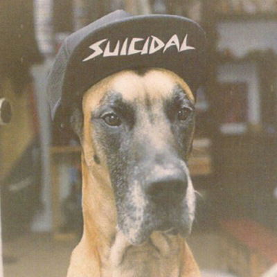 Кирилл Жилкин