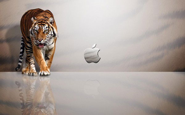 Собир Сафаров