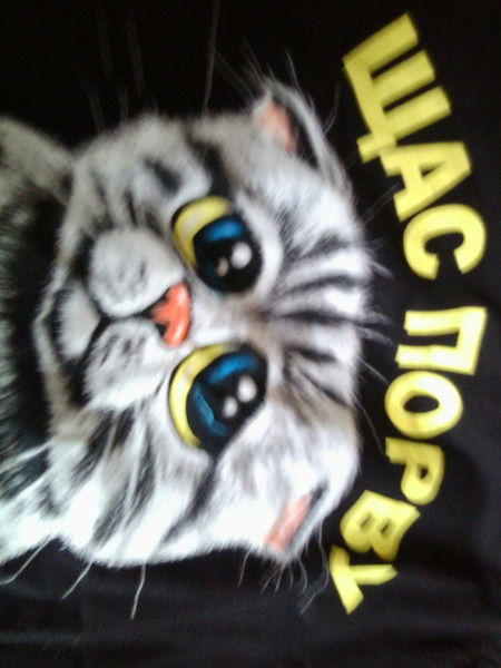 Дима Швандырев