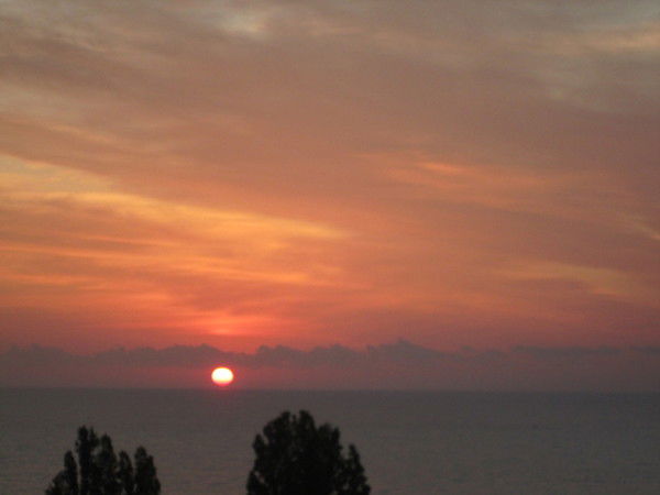 Галина Бова