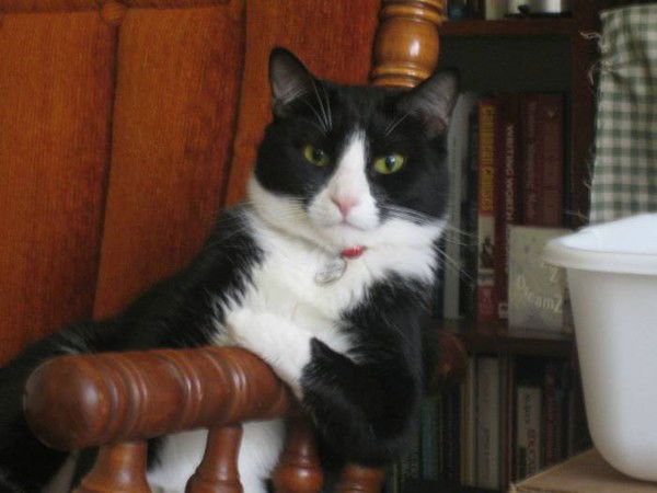 Андрей Смаглюк