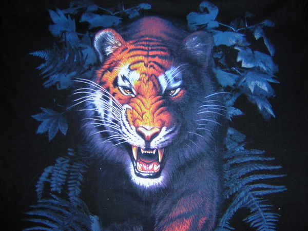 Игорь Осиповский