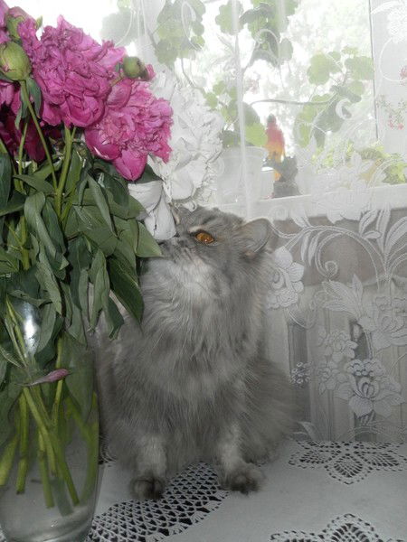 Алексей Саранов