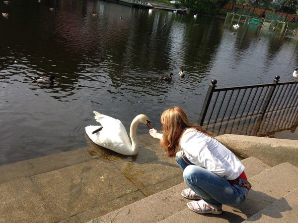 Евгения Иволга