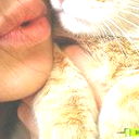 Ledy Miledy