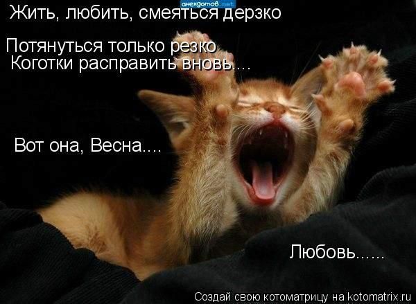 Оксана Родионова