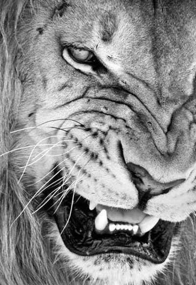 Валера Гордеев