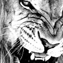 Валера Гордеев