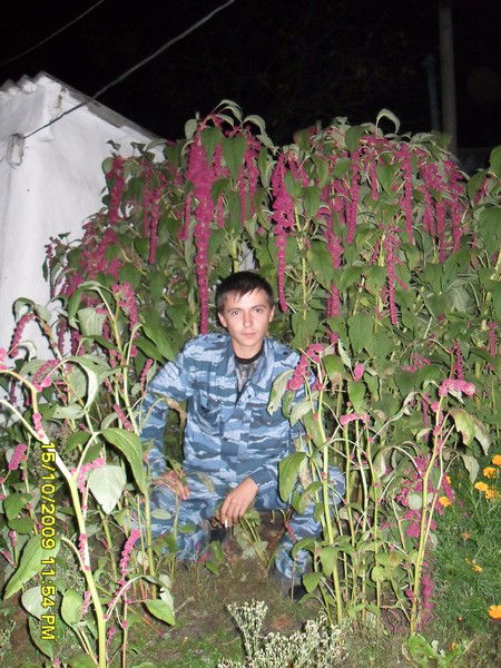 Николай Солодухин