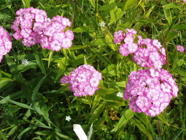 Татьяна Савельева