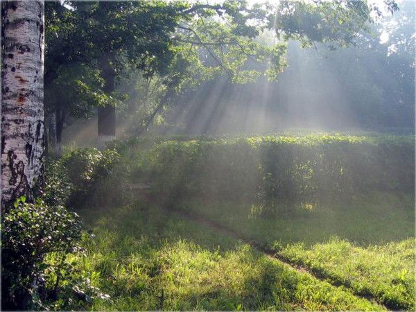 Наталья Фесенко