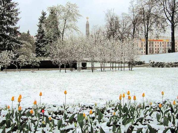 Галина Олифиренко