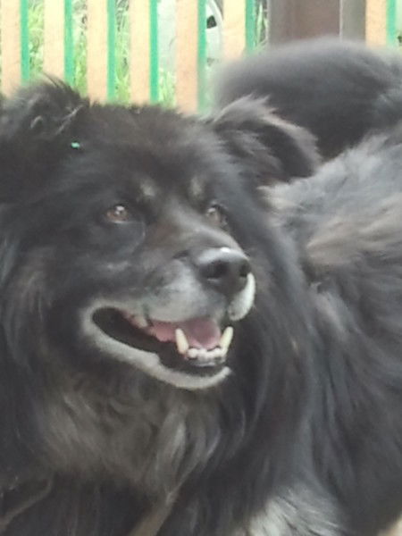 Радий Курманаев