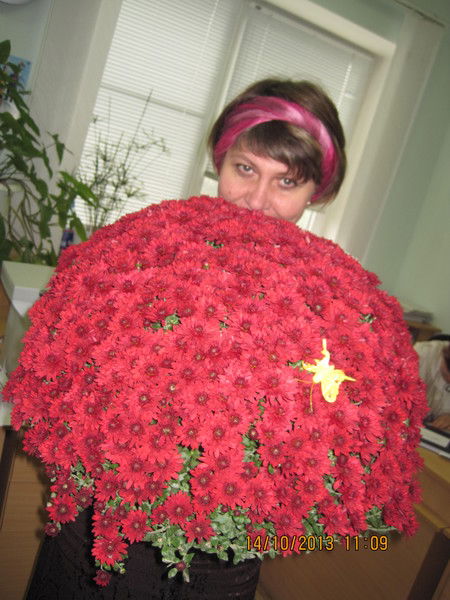 Людмила Шульга