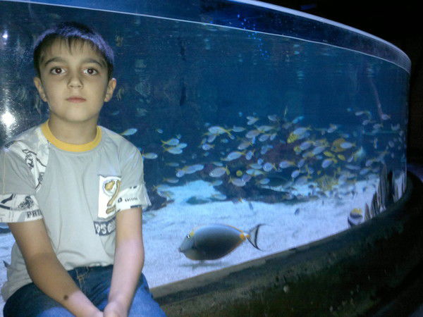 Necıb ................