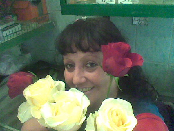 ???????????????? ????????????