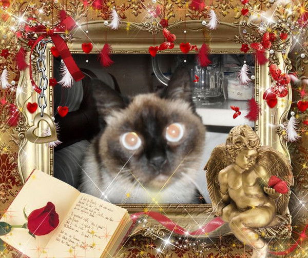 Наталья Рудакова