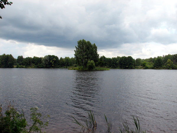 Маргарита Кашликова