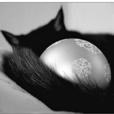 Ольга Ахмерова