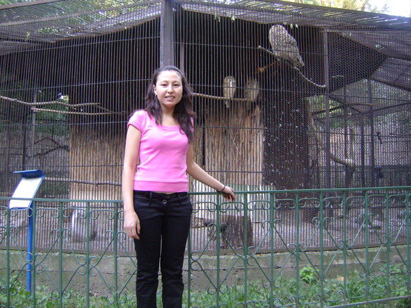 Рози Амренова