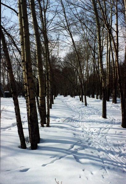 Анжелика Шматова