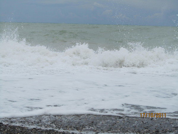 Людмила Моя