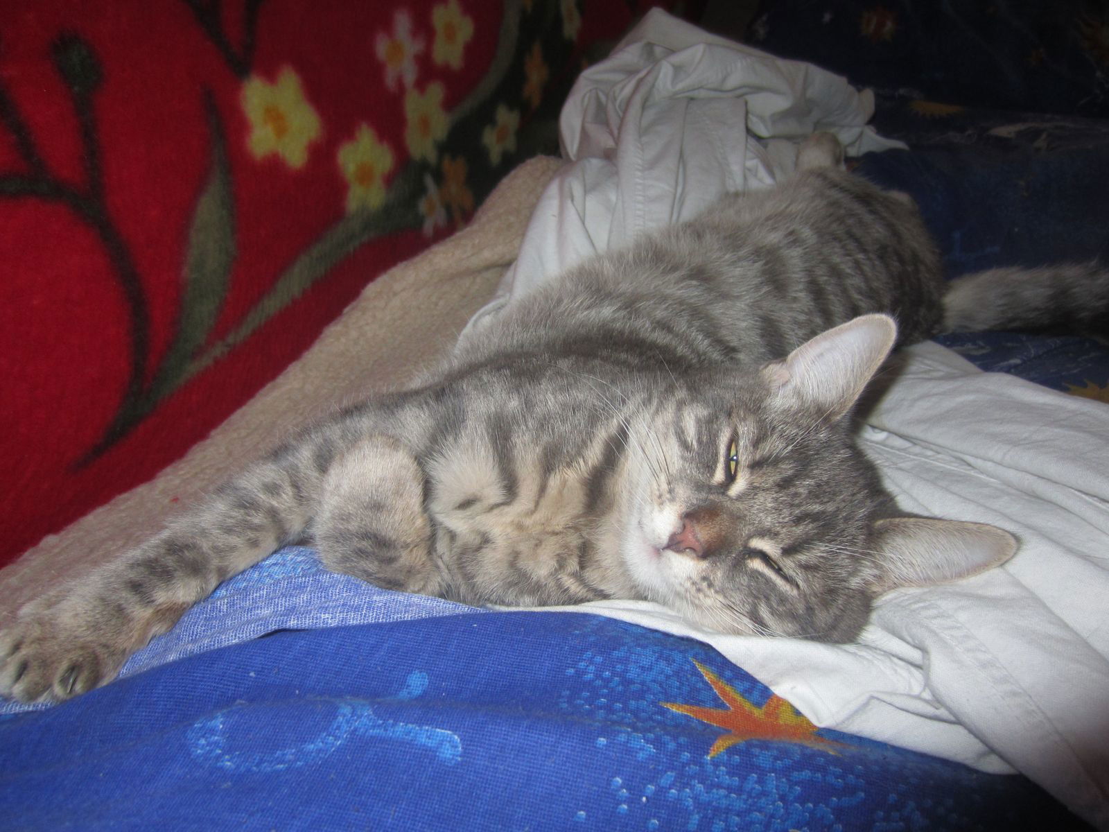 Андрей Ипатов