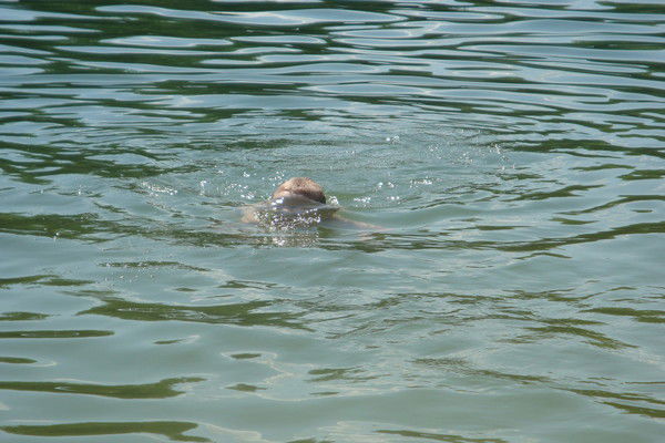 Никита Глущенко