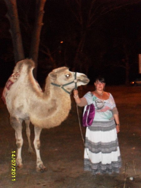 Елена Егорова