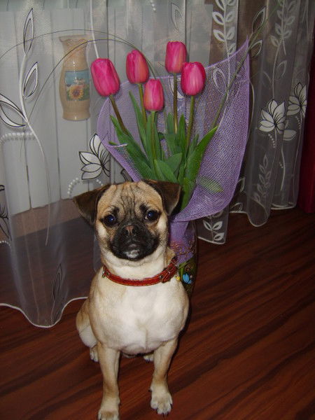 Ксения Барановская