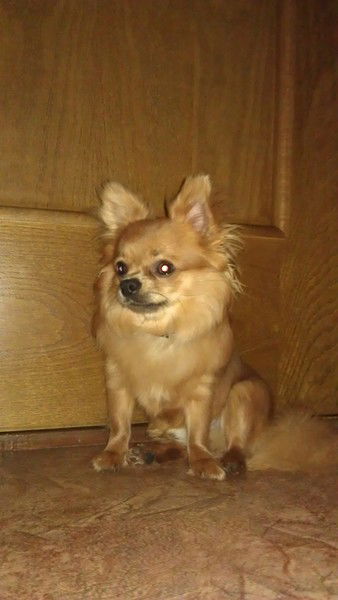 Анатолий Малыгин