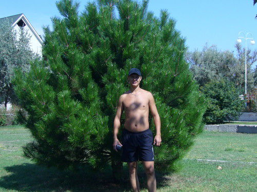 Максим Летов