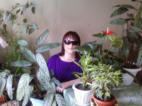 Екатерина Лапшина