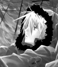 Алекс Котов