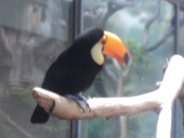 Саркис Акопян