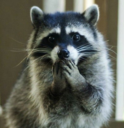 Кристина Пирогова