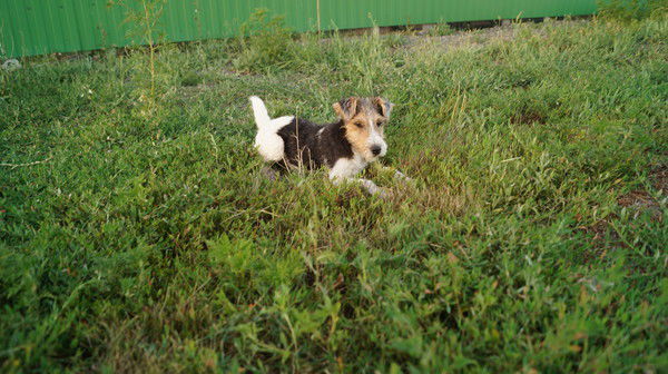 Олег Ламков