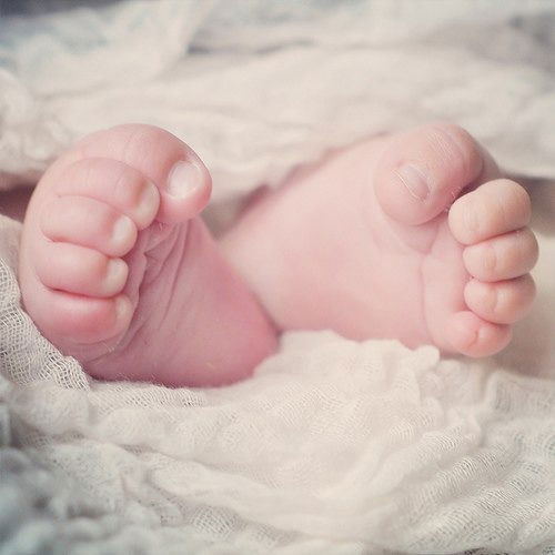 Олька Ромашка