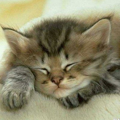 Маша Болдесова