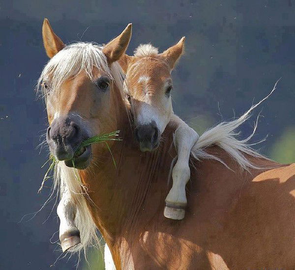 Татьяна Мишкурова