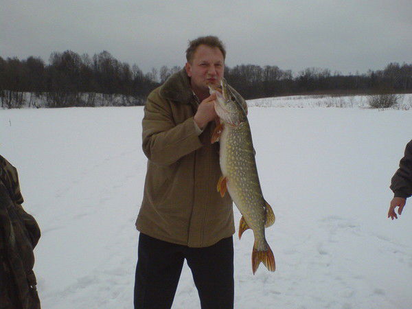 Анатолий Стожков