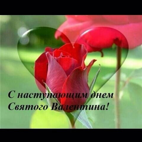 Дамеля Бимендина