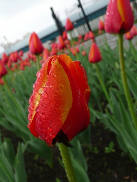 Отдел Туризма Управление Туризма Юко