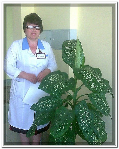 Надежда Прокопец