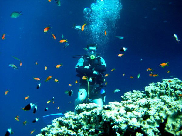 Вячеслав Хафизов