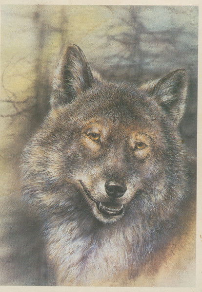 Татьяна Авлошенко