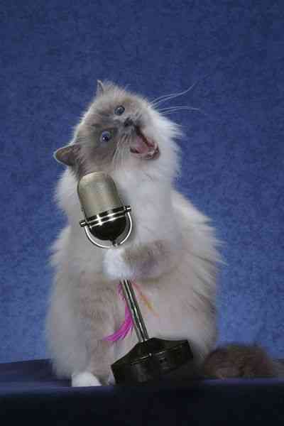 Елена Талаквадзе