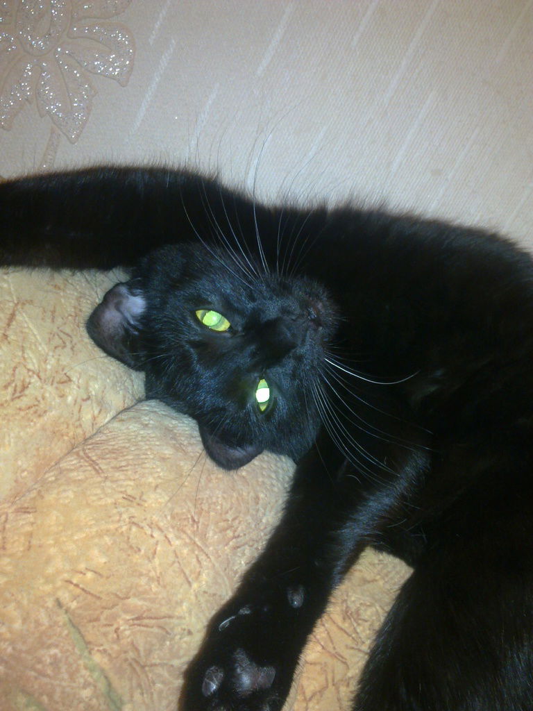 Елена Ананченко